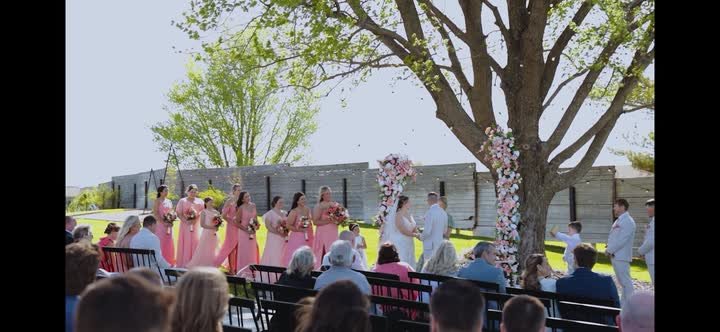 An outdoor ceremony under a blossoming tree